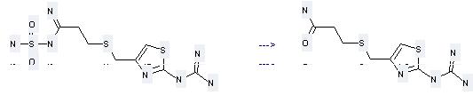 Famotidine can produce 3-(2-guanidino-thiazol-4-ylmethylsulfanyl)-propionamide.